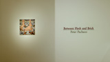 thumbnail image for Between Flesh and Brick (Peter Pacheco) video