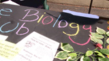 thumbnail image for Biology Club (Student Club Fair - Fall 2015) video